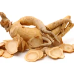 Manfaat Panax Notoginseng (Tian Qi)